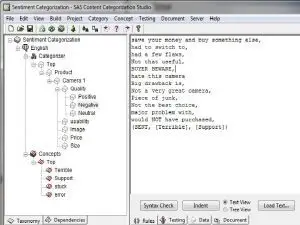 Guide on selecting a partner for SAS Content Categorization
