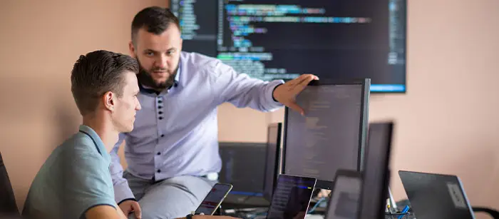 Staff Augmentation for Software Development