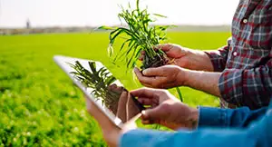 image-annotation-for-agriculture-sector